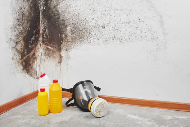 Best Mold Cleaning Services  in Syracuse, UT