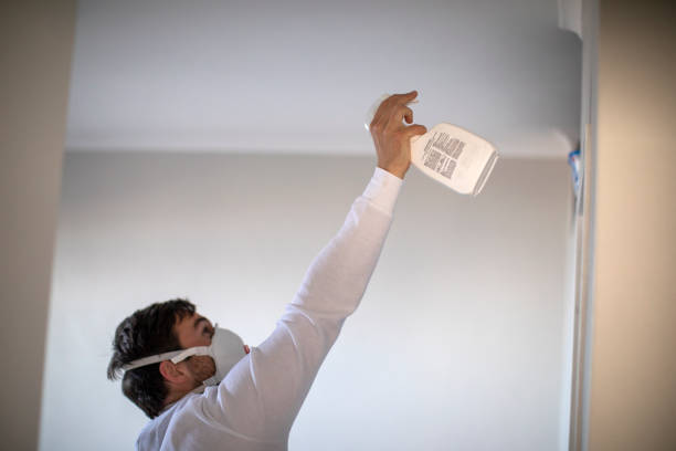 Office Mold Removal Services in Syracuse, UT