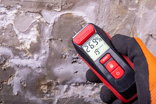 Crawl Space Mold Removal in Syracuse, UT