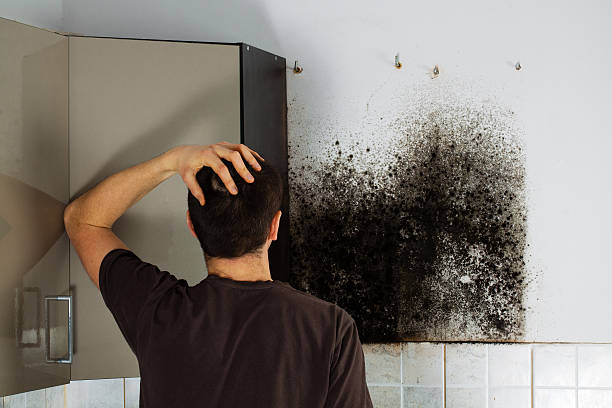Best Toxic Mold Removal  in Syracuse, UT