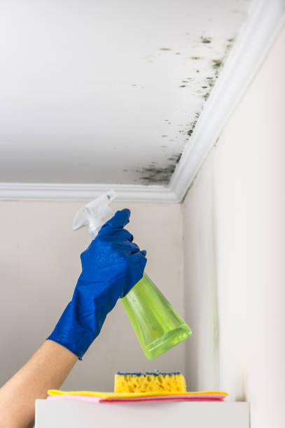 Best Mold Testing  in Syracuse, UT